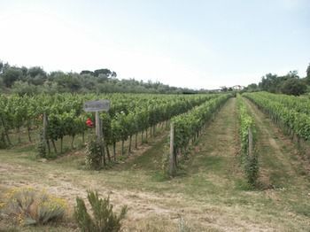 Le Piazzole Resort Florencia
